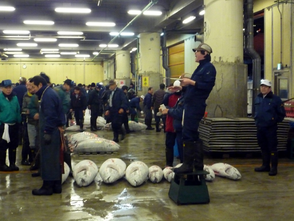 Tsukiji Tuna Auction