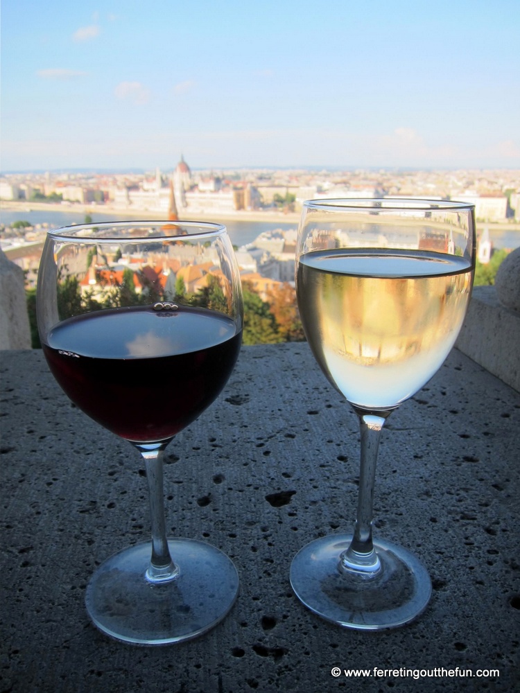 Enjoying wine with a view in Budapest, Hungary