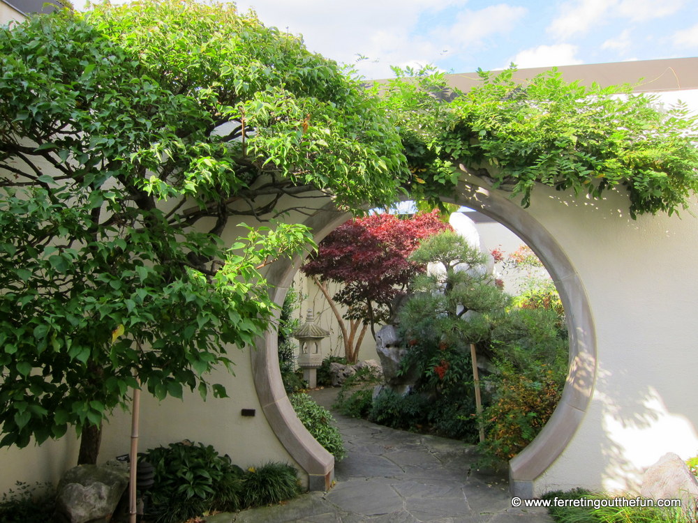 National Bonsai Garden DC