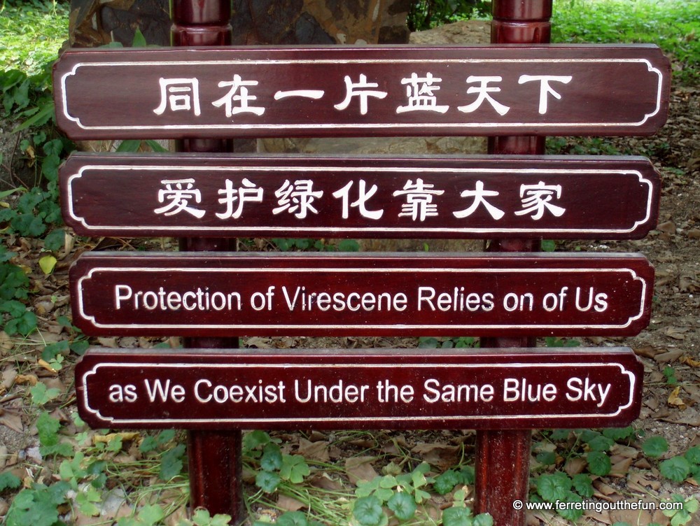 Poetic Chinglish sign