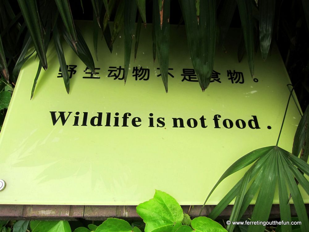 Wildlife is not food