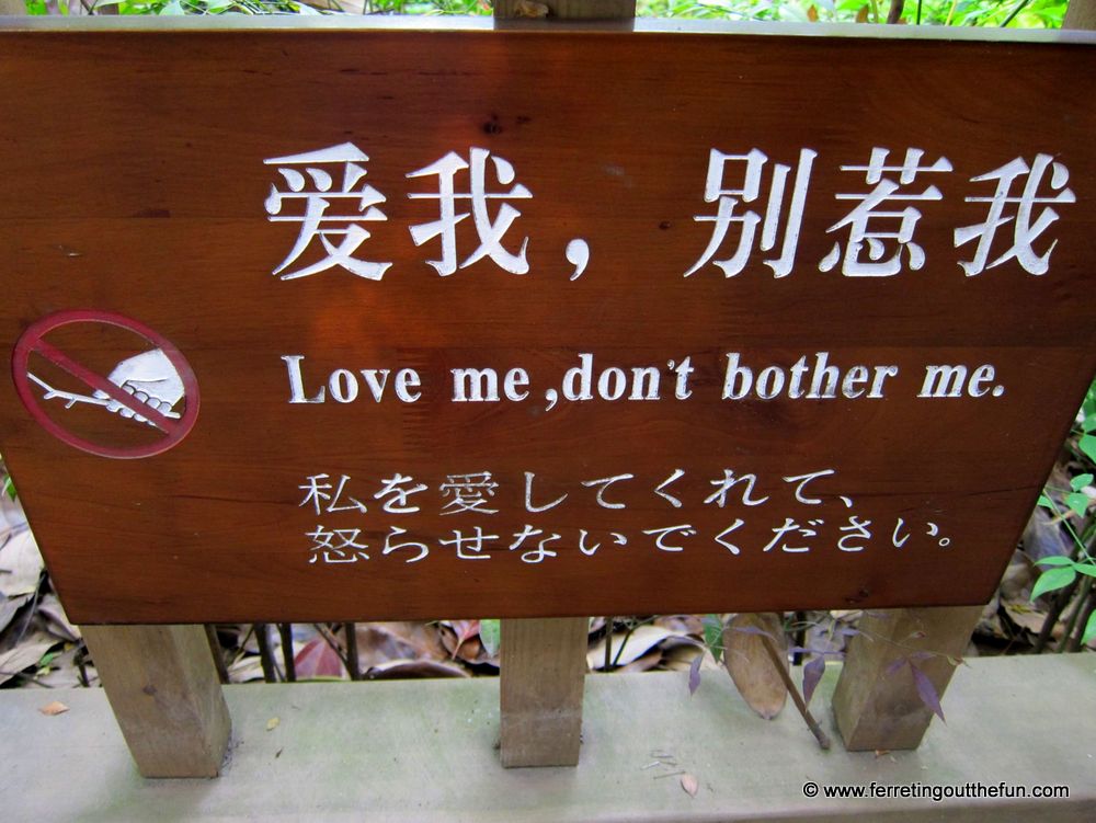 Chinglish sign