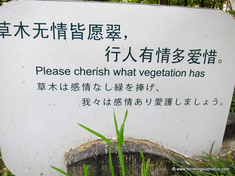 Chinglish signs