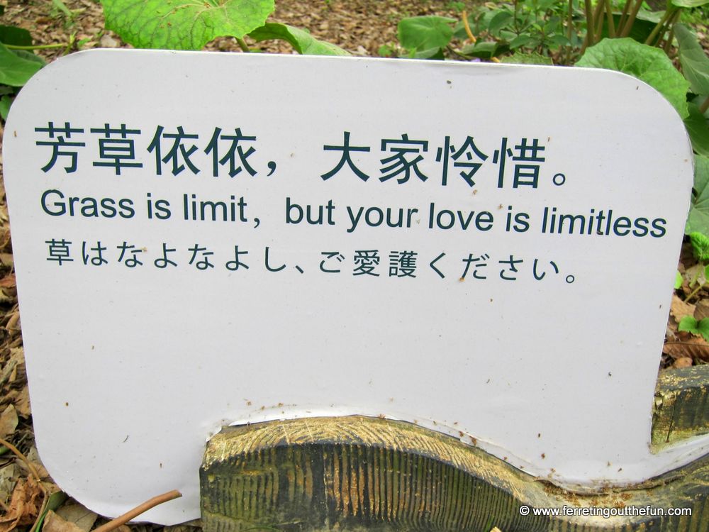 Chinglish signs