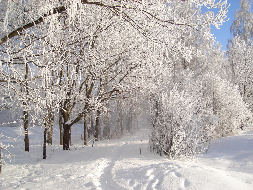 Latvian winter 3