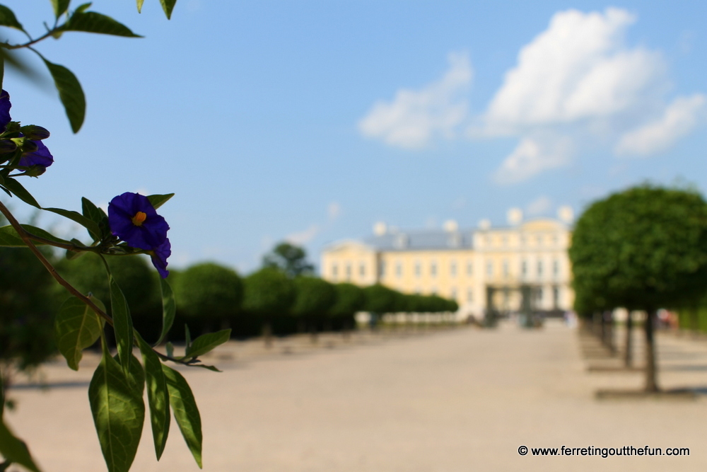 Rundale Palace garden