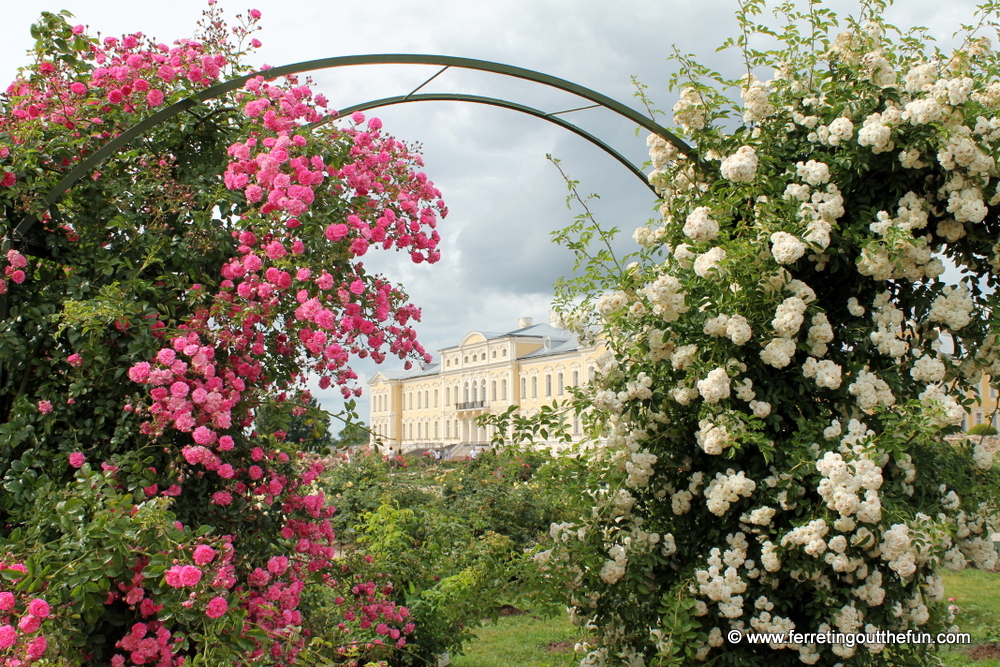 rundale palace rose garden