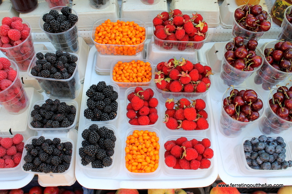 summer berries in latvia