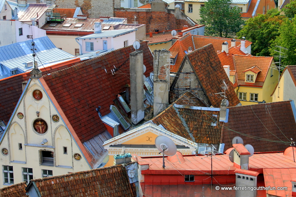 tallinn old town rooftops