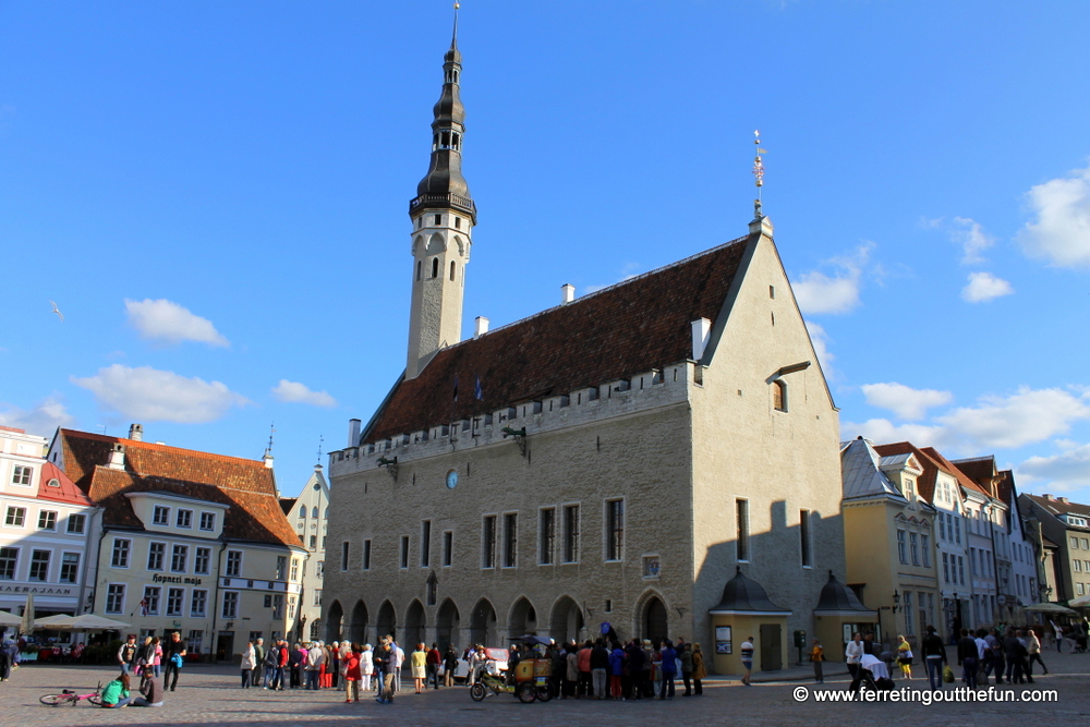 tallinn town hall