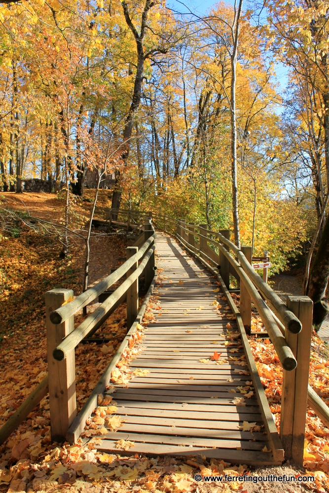 An autumn hike through Gauja National Park in Latvia