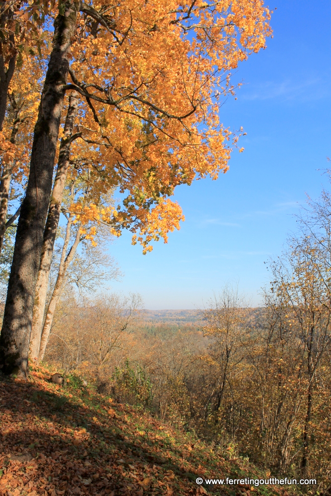 Autumn in Latvia