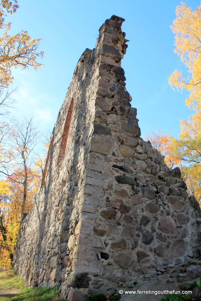 Autumn leaves surround the Krimulda castle ruins in Latvia