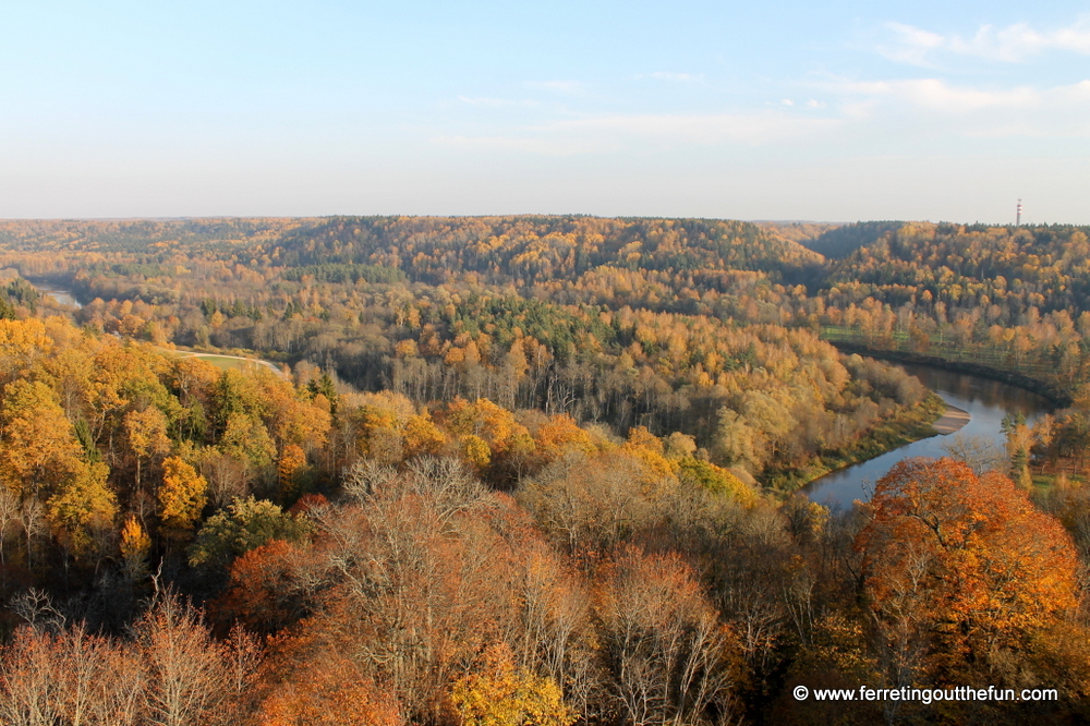 autumn in gauja national park latvia