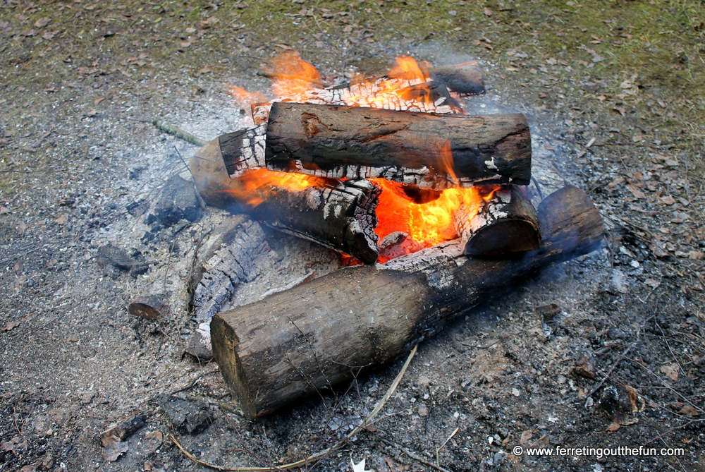 Winter Solstice Yule Log