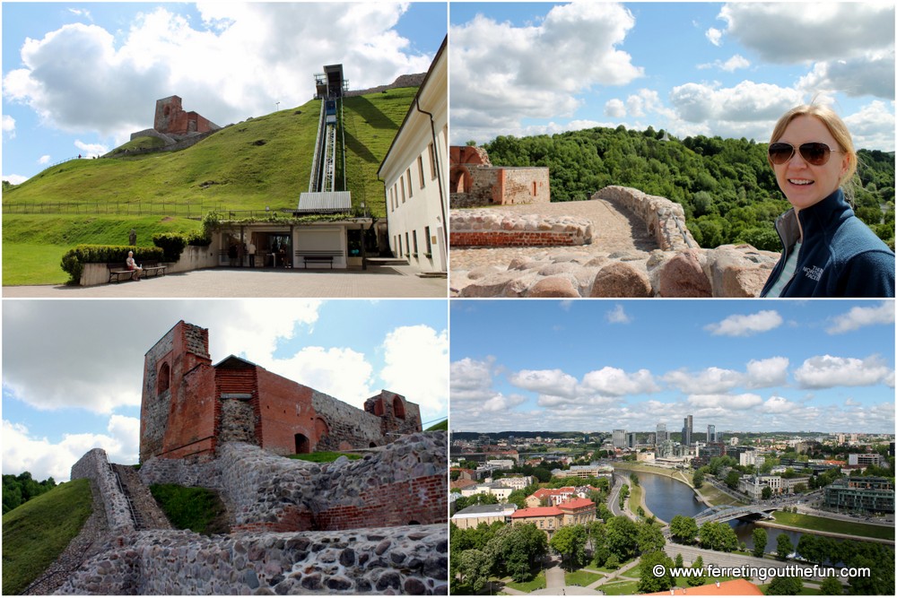 Vilnius castle view