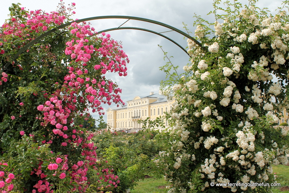 Rundale Palace Rose Garden