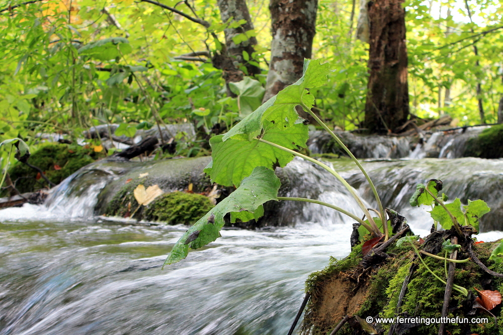 plitvice lakes