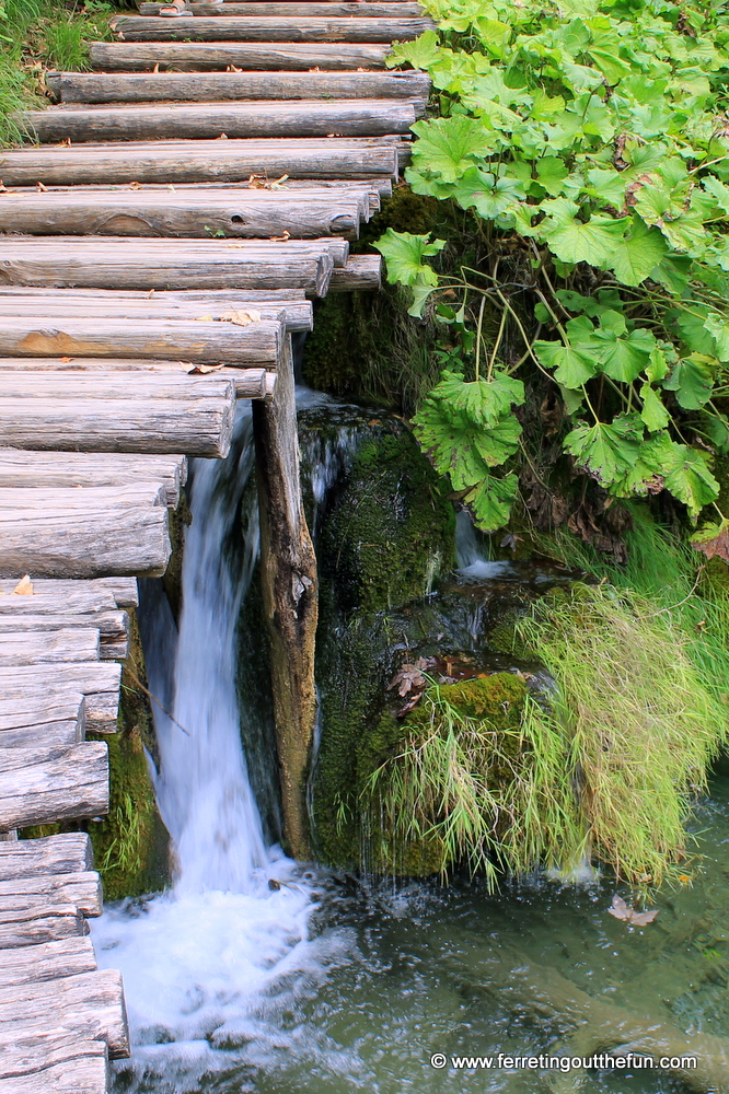 Water flows beneath a walking trail in Plitvice Lakes, Croatia