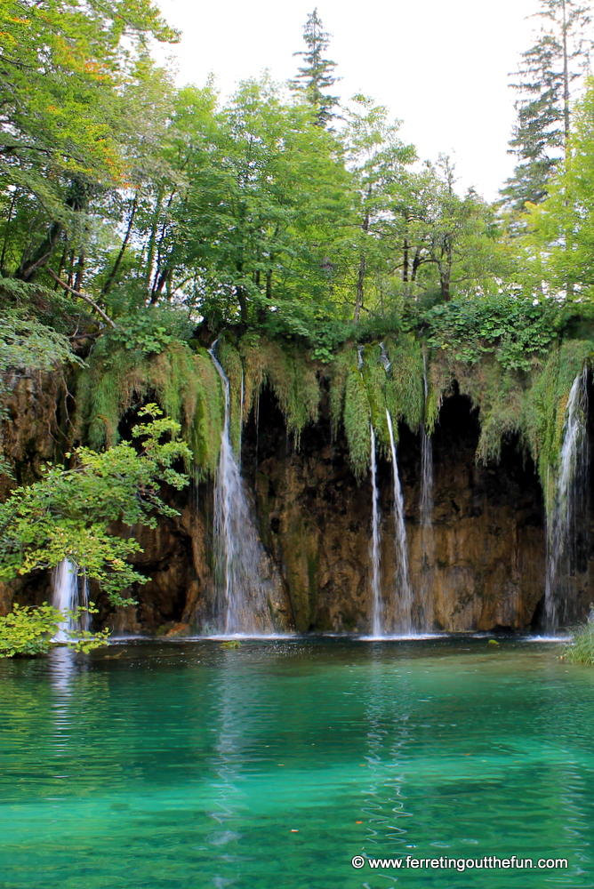 An enchanted forest in Plitvice Lakes, Croatia 