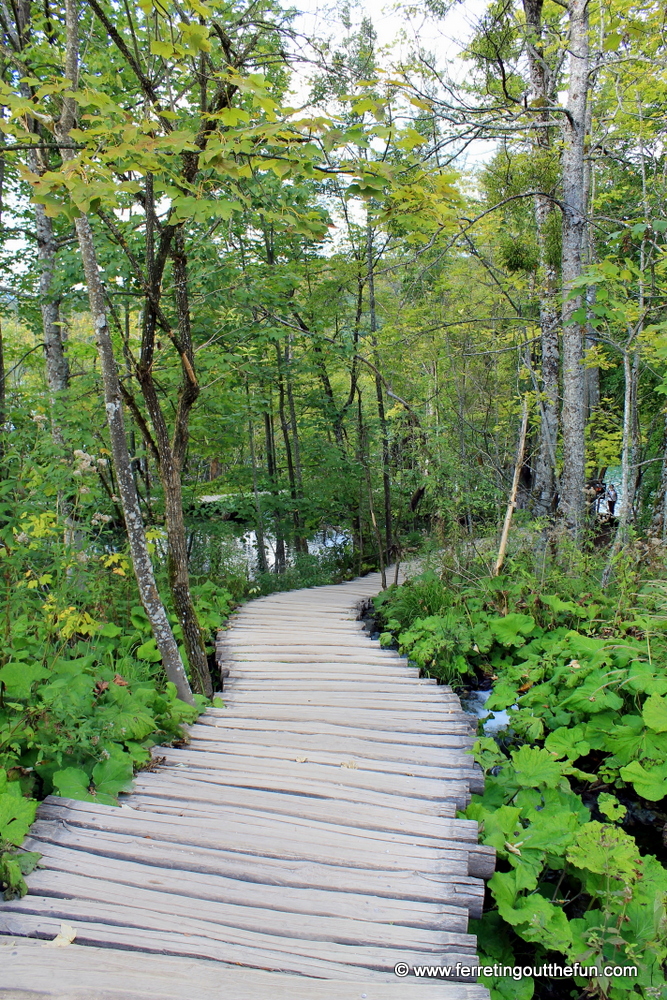 A hiking trails winds through Plitvice Lakes, Croatia