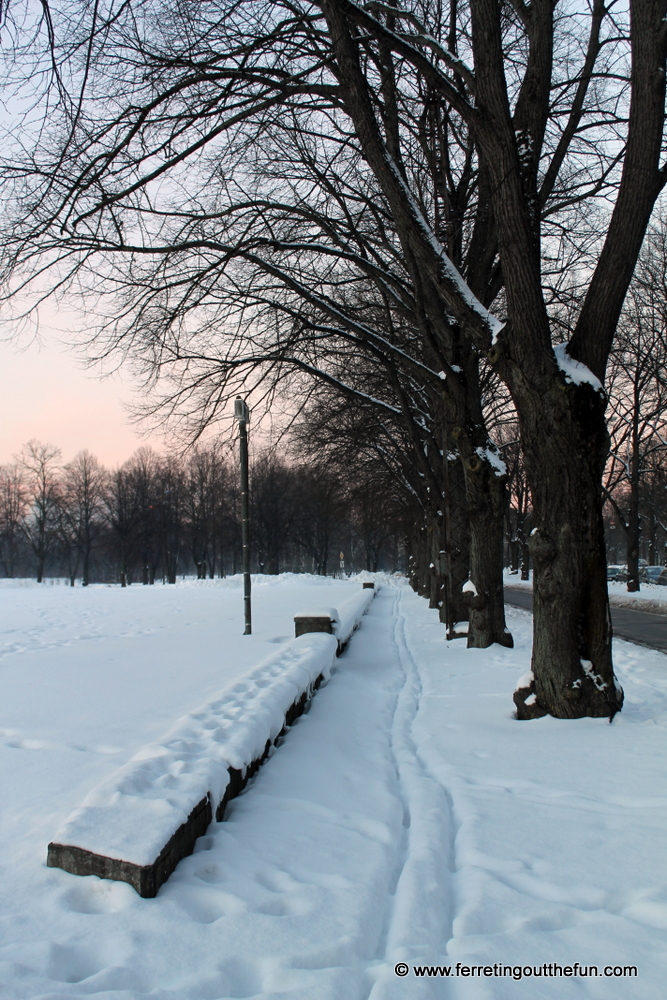 Riga Nordic skiing track