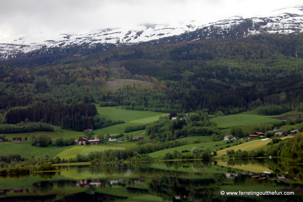 Bergen Railway View