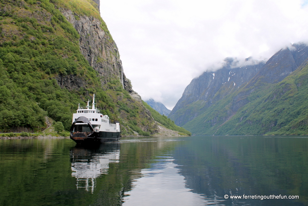 Norway in a Nutshell Fjord Cruise