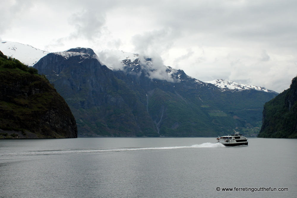 Norway in a Nutshell Fjord Cruise