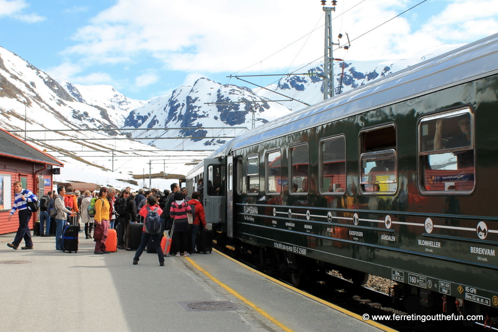 Myrdal Train Station, Norway