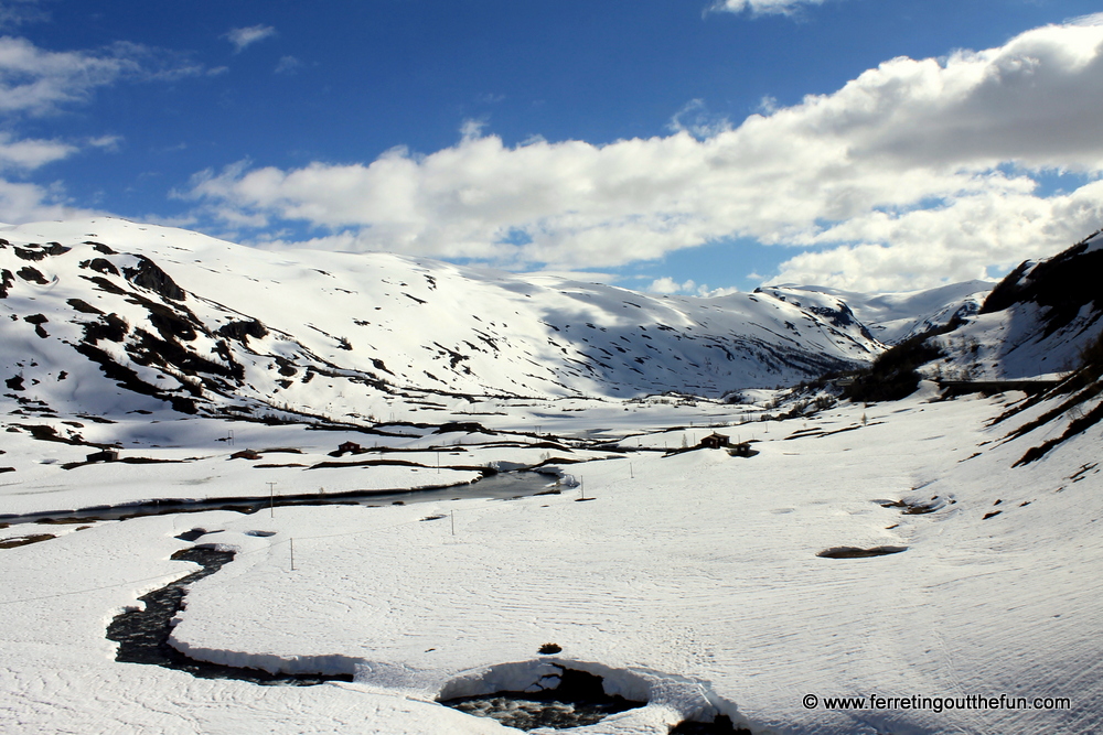 Norway in June