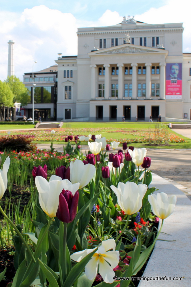 Tulips bloom in front of the Latvian National Opera House in Riga