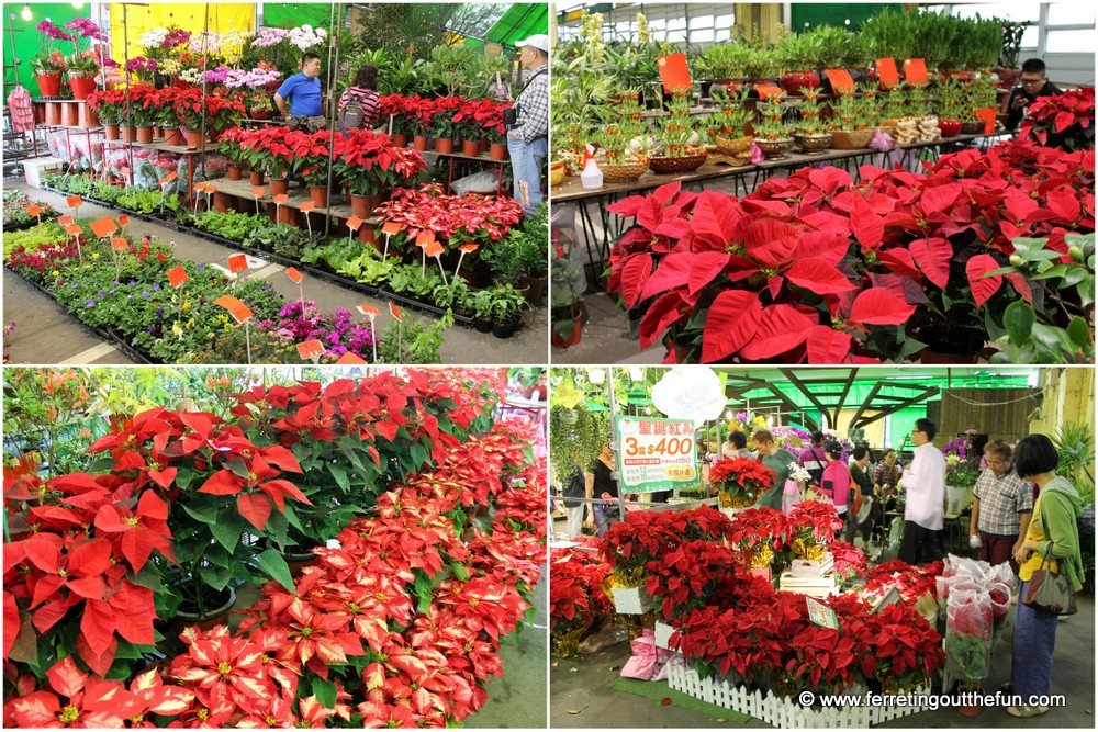 taipei weekend flower market