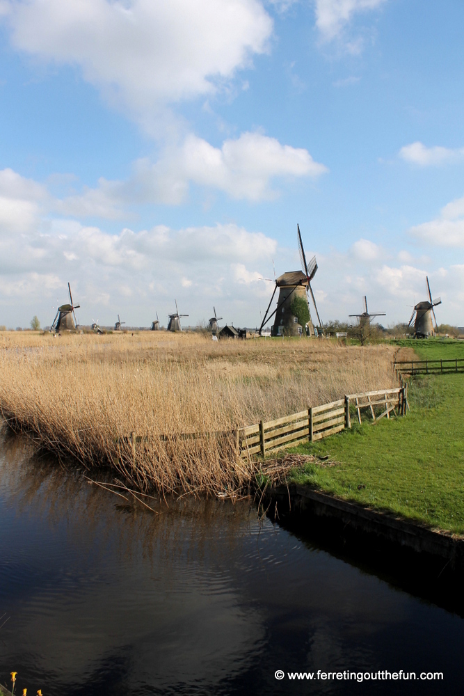 A field of windmills in Kinderdijk, Netherlands