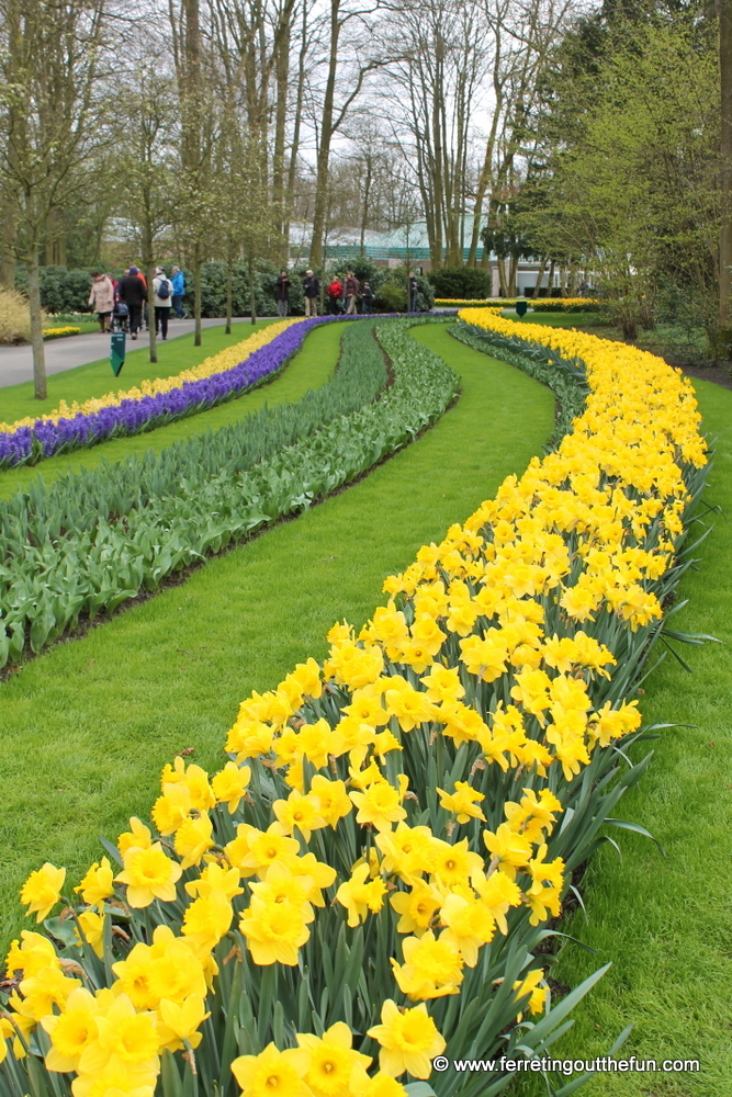 A river of flowers runs through Keukenhof Gardens in Holland