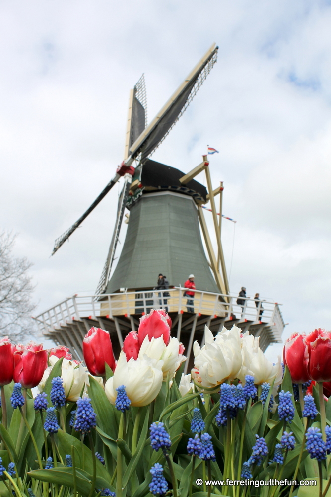 Springtime in Holland