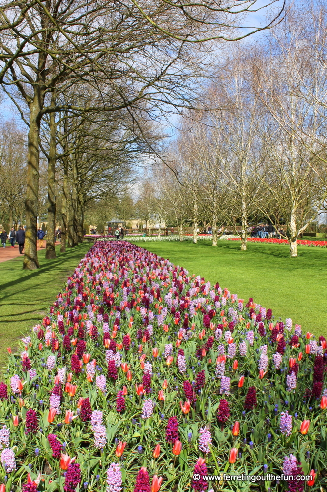 A flower carpet in Keukenhof Gardens