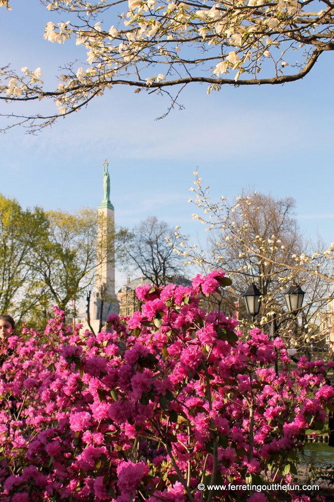 Spring flowers frame the Freedom Monument in Riga, Latvia