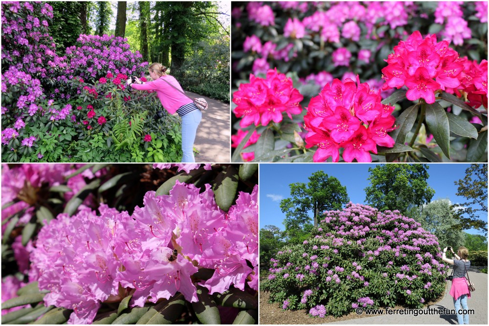 Riga Botanical Garden