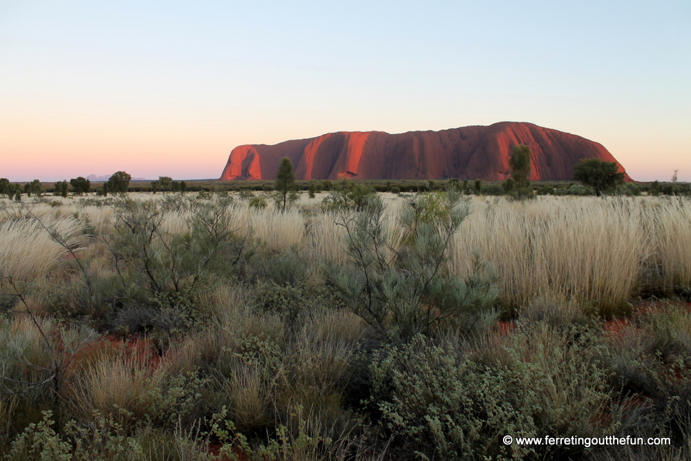 Uluru sunrise view