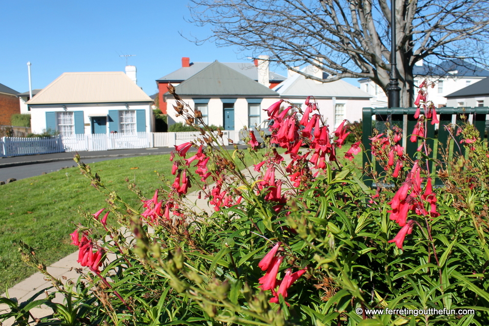 arthur circus hobart