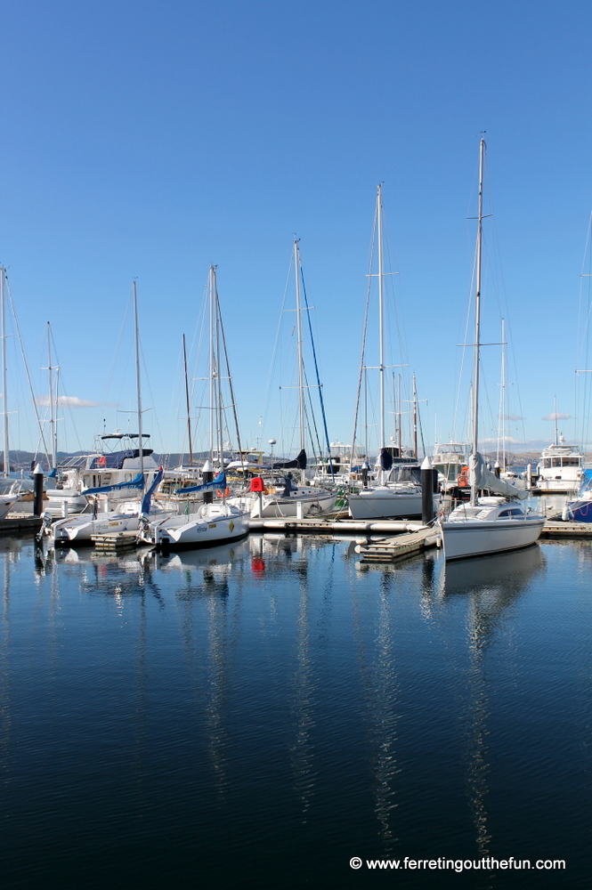 Sailboats bob in the clear blue water of Hobart harbor, Tasmania