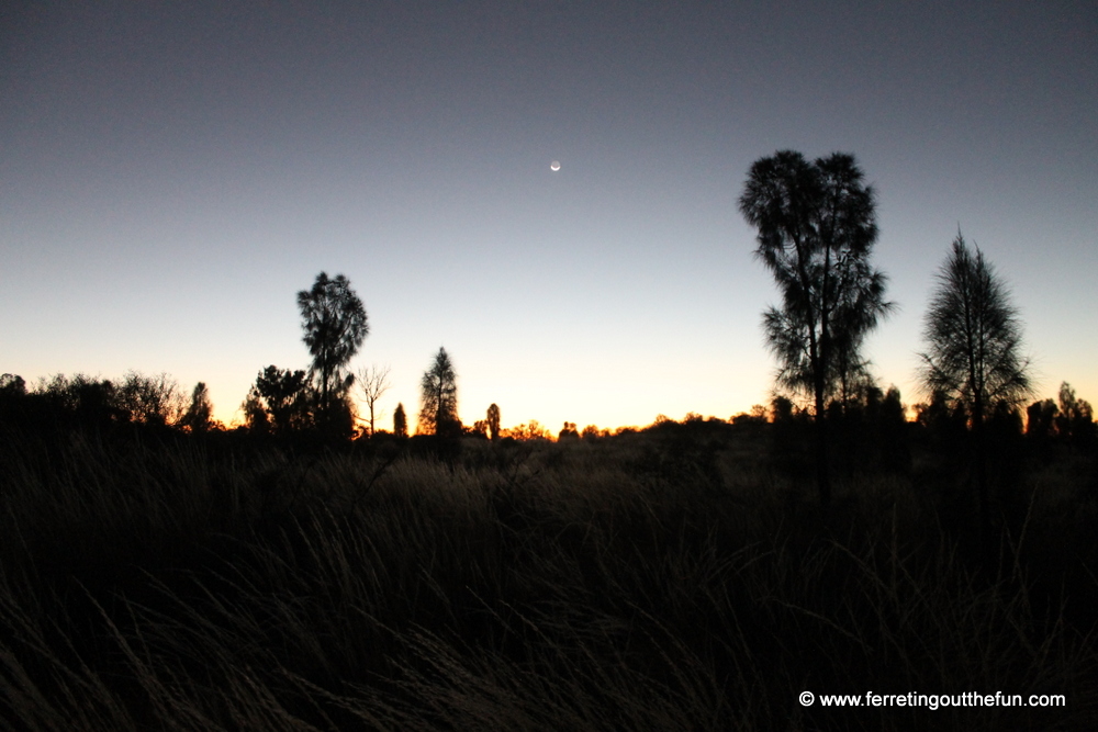 outback sunrise