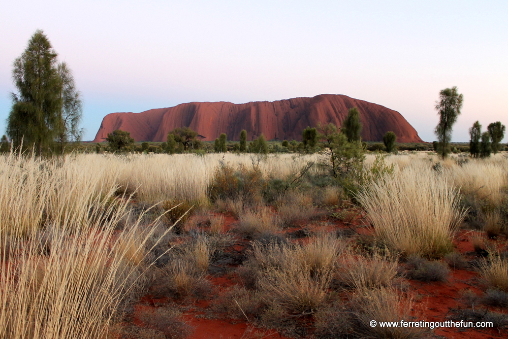 uluru sunrise view