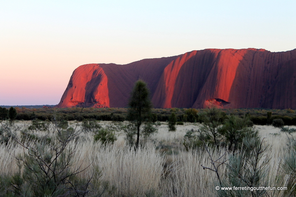 uluru at sunrise