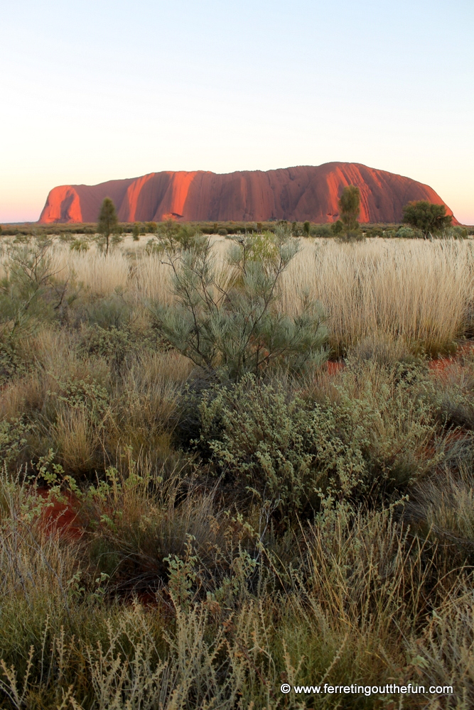 Sunrise at Uluru in the Australian Outback