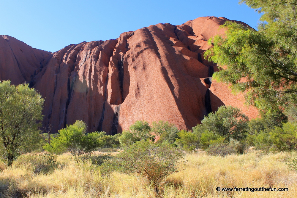 uluru base walk