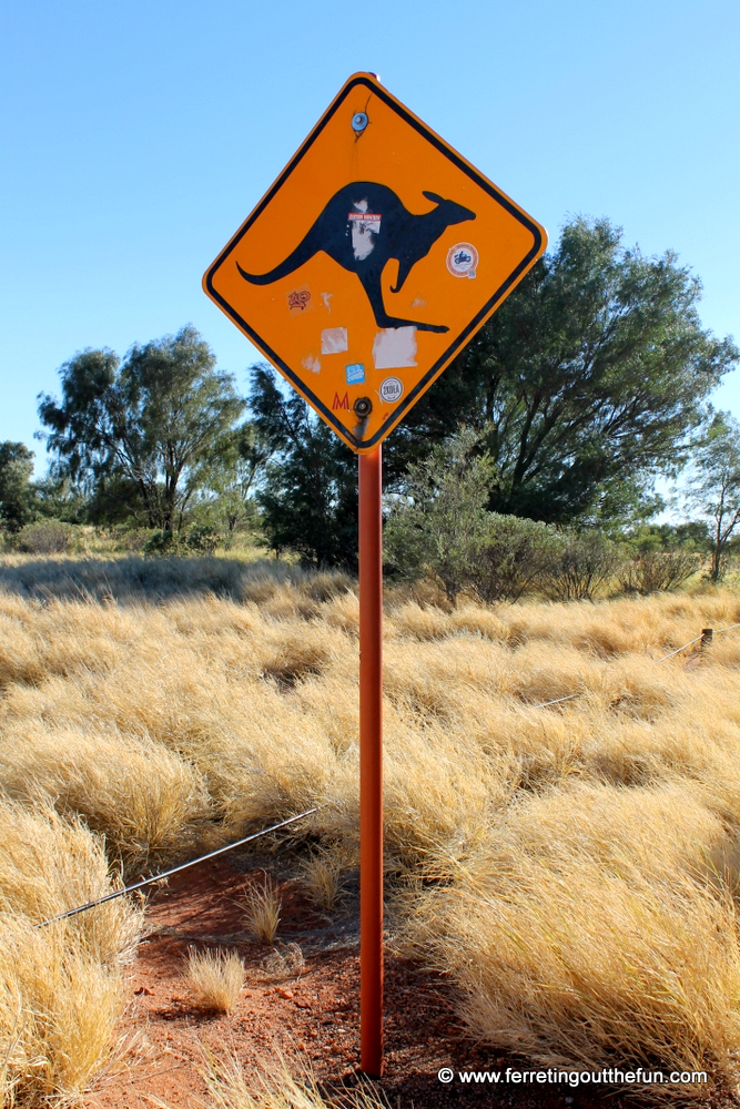 A kangaroo crossing sign in the Australian Outback
