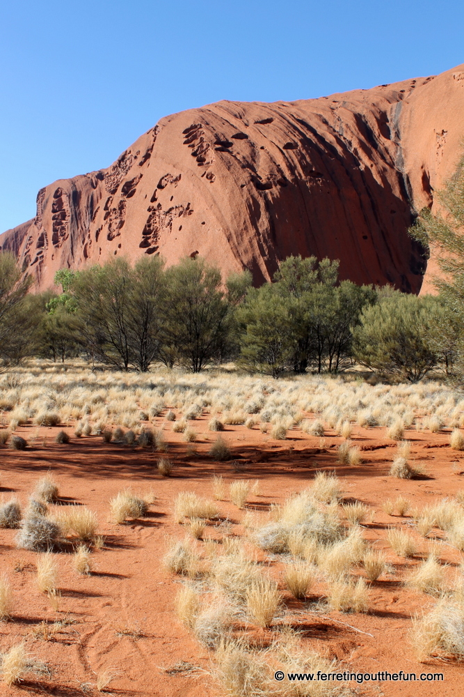 Uluru base walk