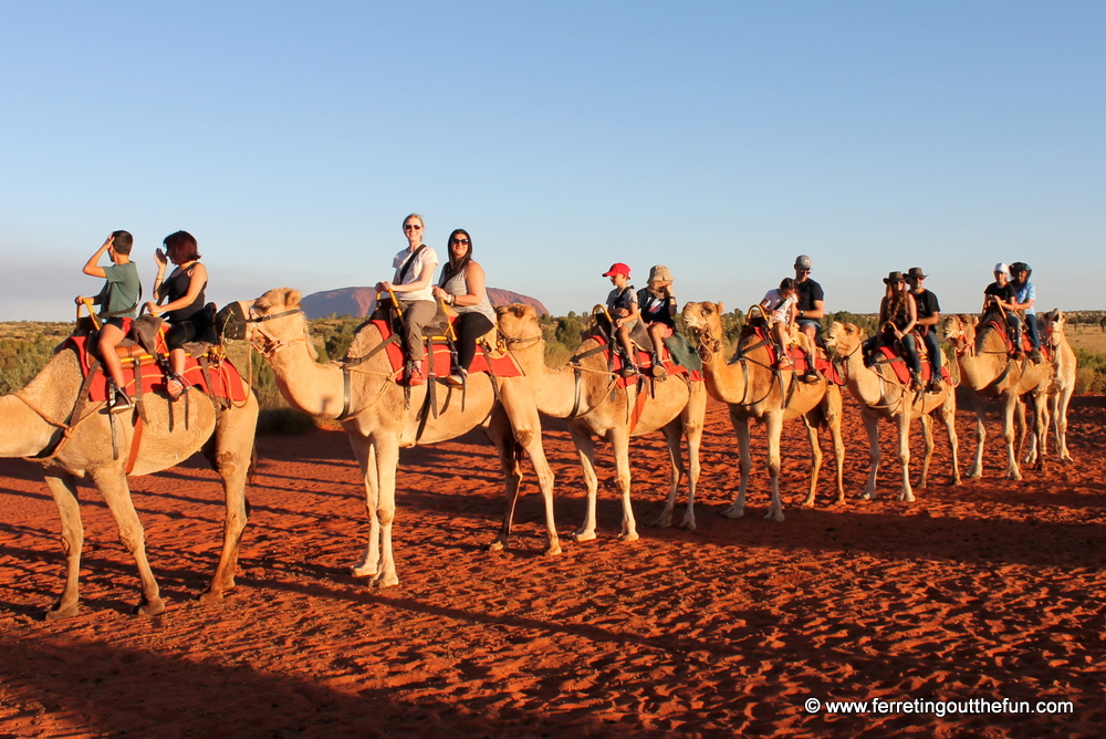 uluru camel ride